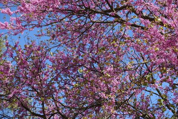 Printemps de la donnée 2024