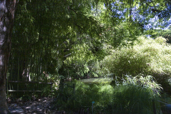 Printemps de la donnée 