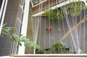 Data coffee Data coffee