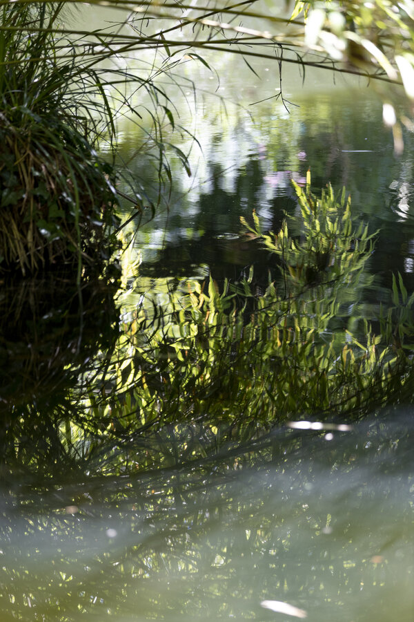 Classe virtuelle Recherche Data Gouv