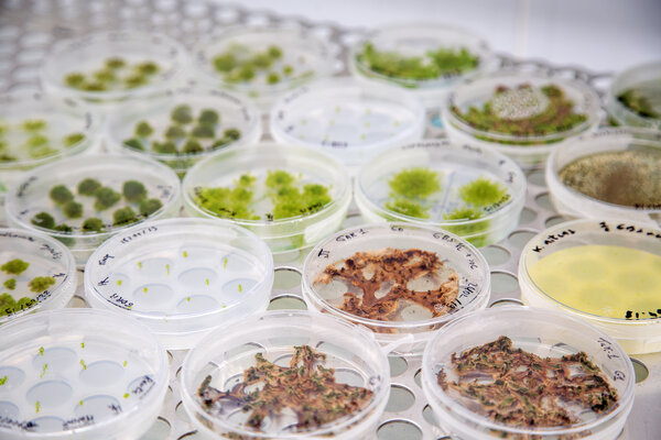 Inauguration de Recherche Data Gouv