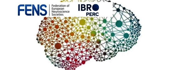 Summer School | Advanced tools for data analysis in neuroscience 