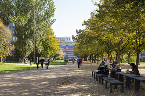 Open Access Week: Recherches participatives