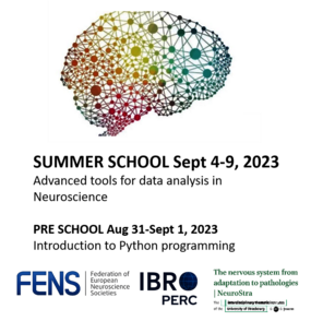 Summer school of 'ITI NeuroStra' program