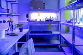 Formation La science comme bien commun