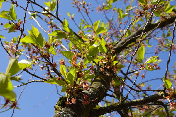 Billets sur la qualité des données 
