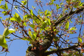 Billets sur la qualité des données 