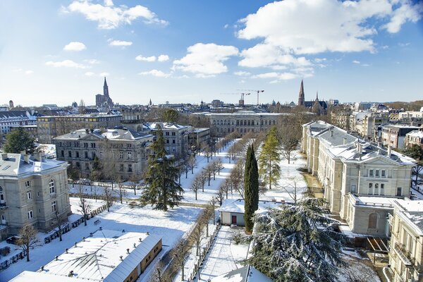 Share Data Week 2024