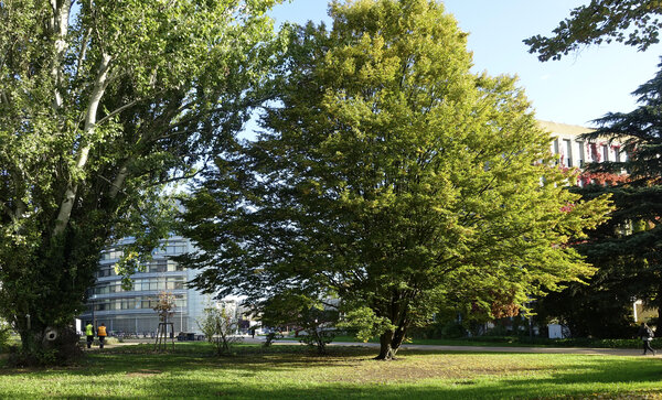 Plan de gestion de données