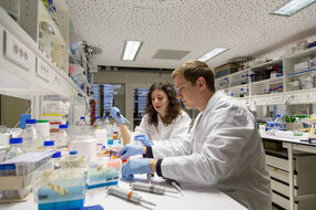 Classe virtuelle Recherche Data Gouv