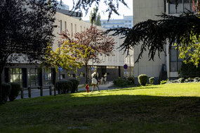 Data coffee Data coffee