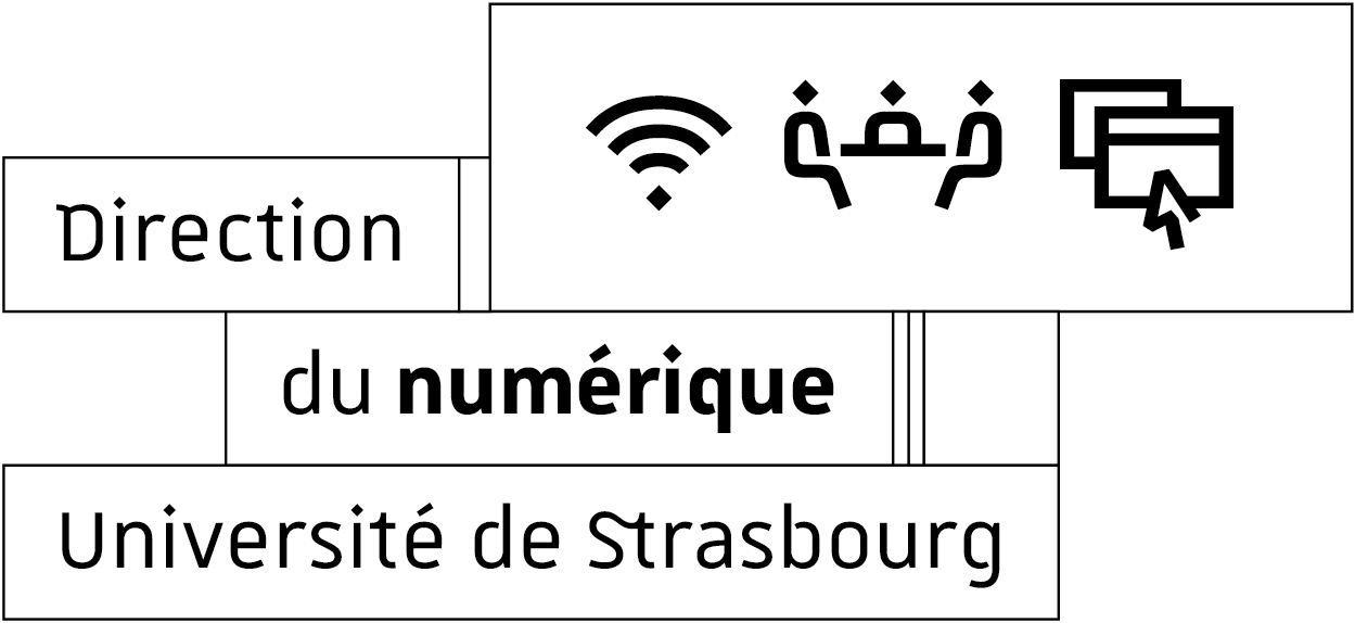 <strong>Logo de la Direction du numérique</strong> Logo de la Direction du numérique